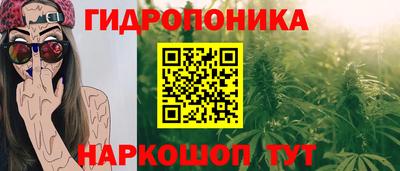 гашик Туймазы